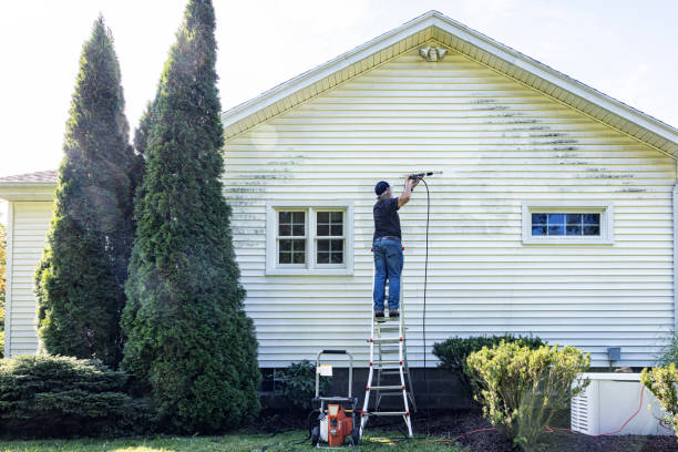 Best Restaurant Pressure Washing  in Nashvle, IL