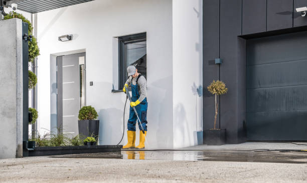 Best Dumpster Area Cleaning  in Nashvle, IL